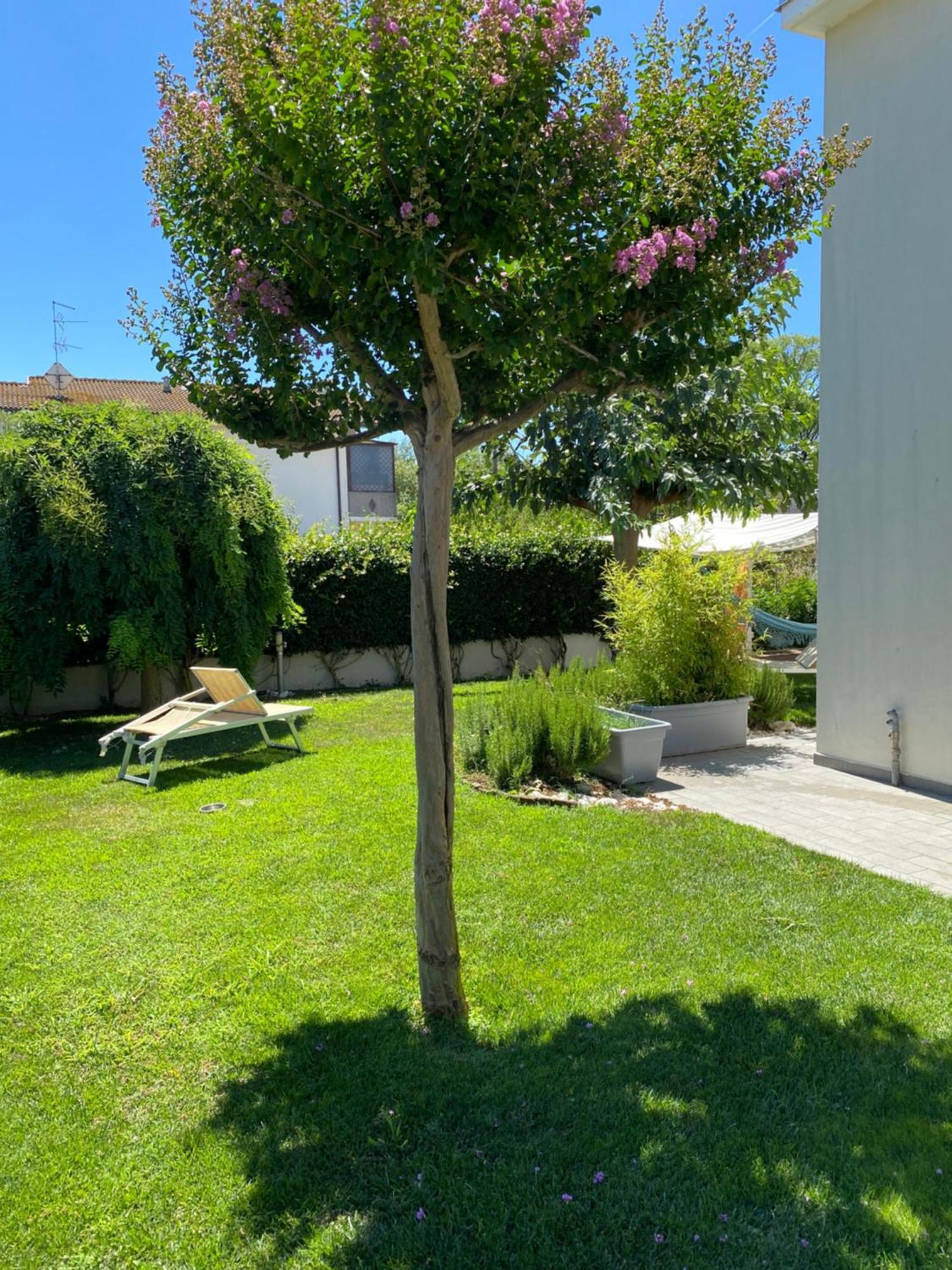 B&B Il Giardino Dello Yogi Savio di Ravenna Εξωτερικό φωτογραφία